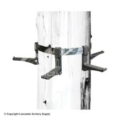 Hawk Monkey Bars Tree Steps